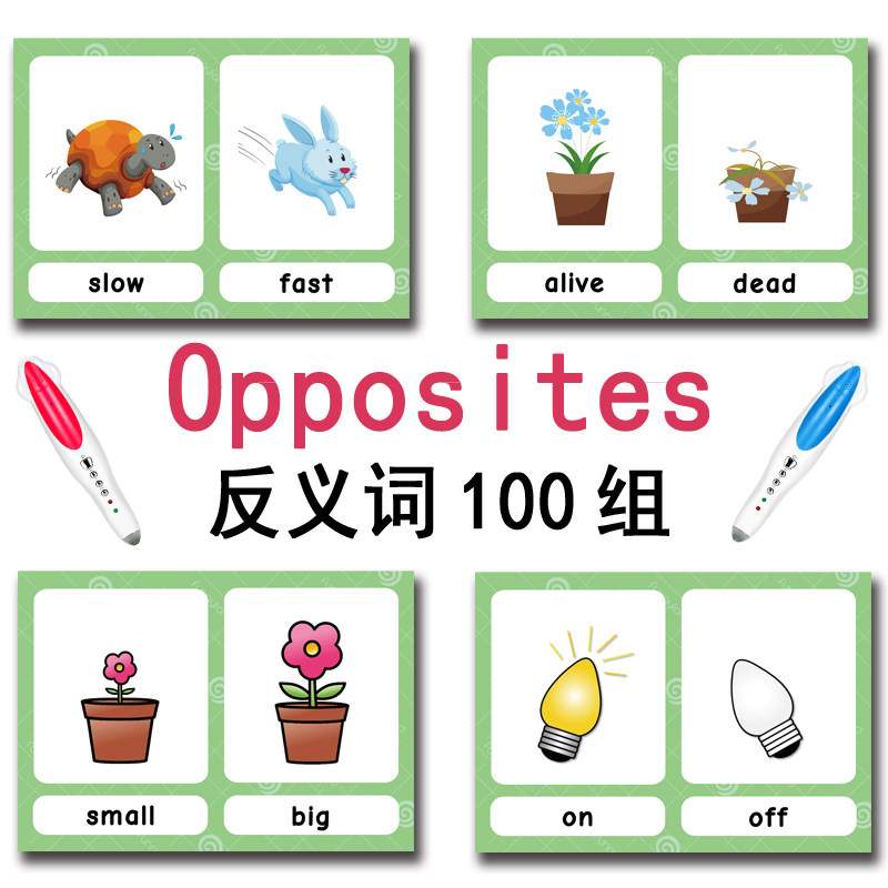Die 100 Gruppen Gegensätze Ler – Kids Educational Gadget Bewertung und Preis