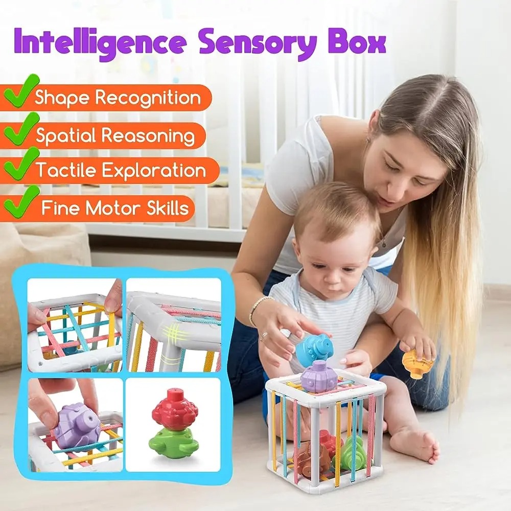 Regenbogenfarbiger Montessori- – Kids Educational Gadget Bewertung und Preis