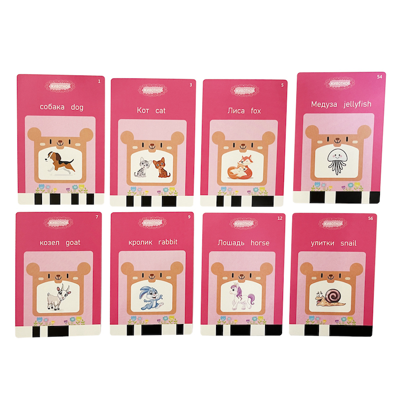 Russische Englisch Taking Flas – Flash Card Alphabet Bewertung und Preis